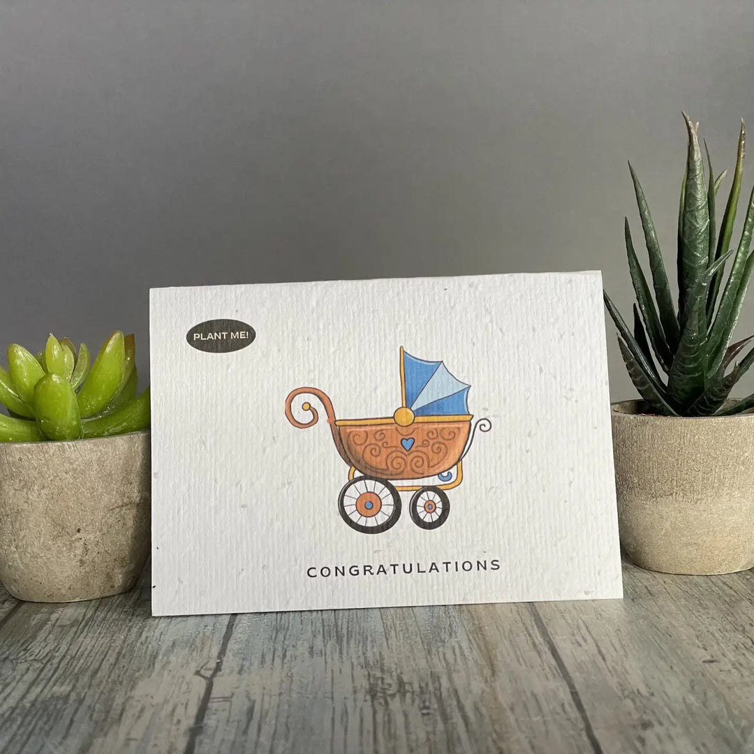 It's A Boy Plantable Greeting Card