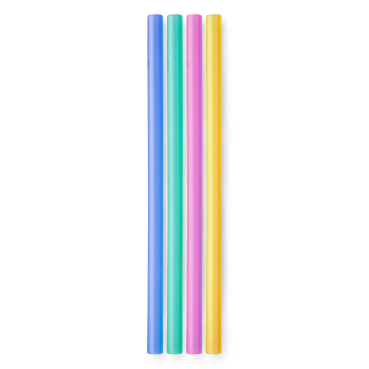 Standard Size Straw - Pack of 4 Assorted Colors